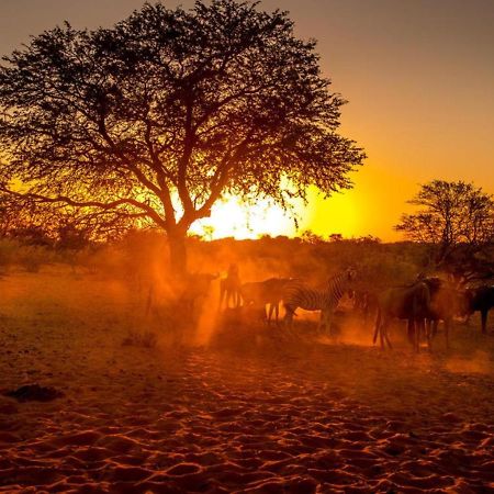 Bagatelle Kalahari Boutique Farmhouse Lodge Mariental Kültér fotó