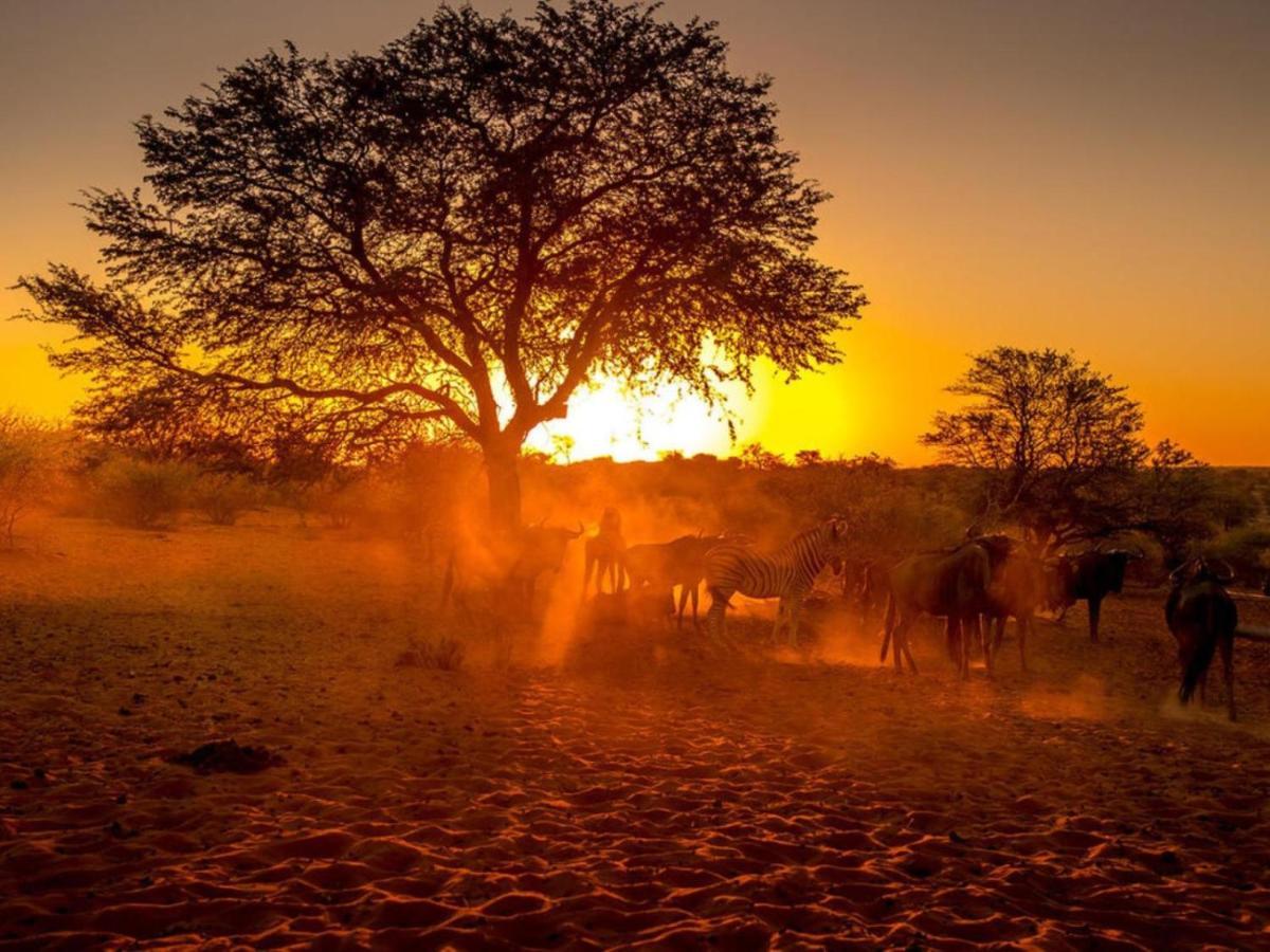 Bagatelle Kalahari Boutique Farmhouse Lodge Mariental Kültér fotó